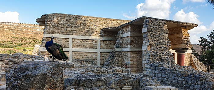 Vizită la Knossos Creta