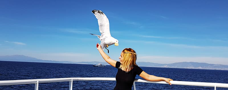 Thassos: pescarusii care insotesc ferryboat-ul