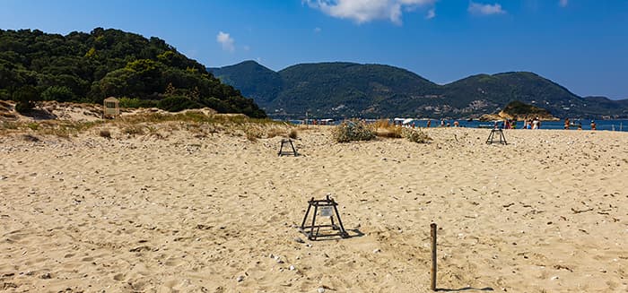 Marathonisi: insula broscuțelor Loggerhead